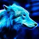 Spiritwolfz